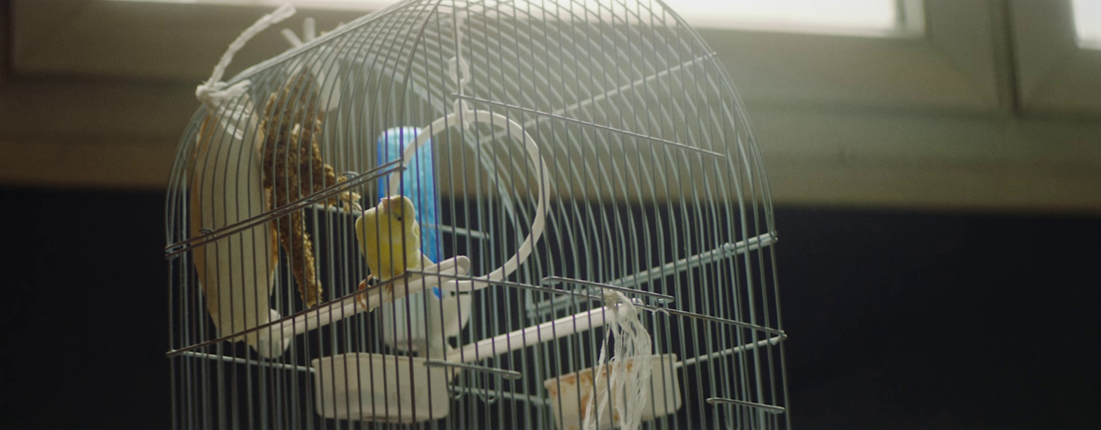 Invisible (2021) —  shot,  lighting