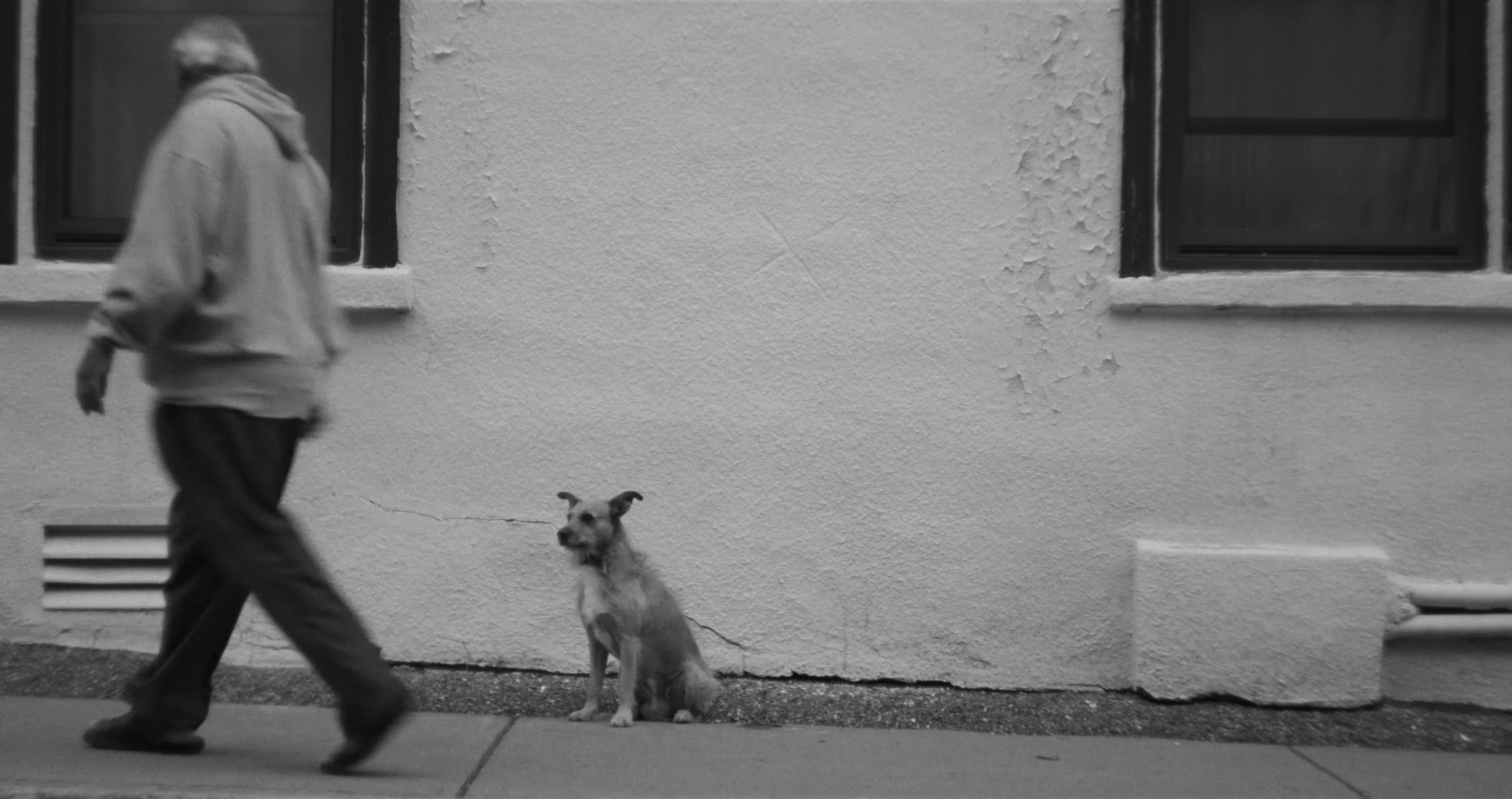 Early Morning Sun (2024) —  shot,  lighting