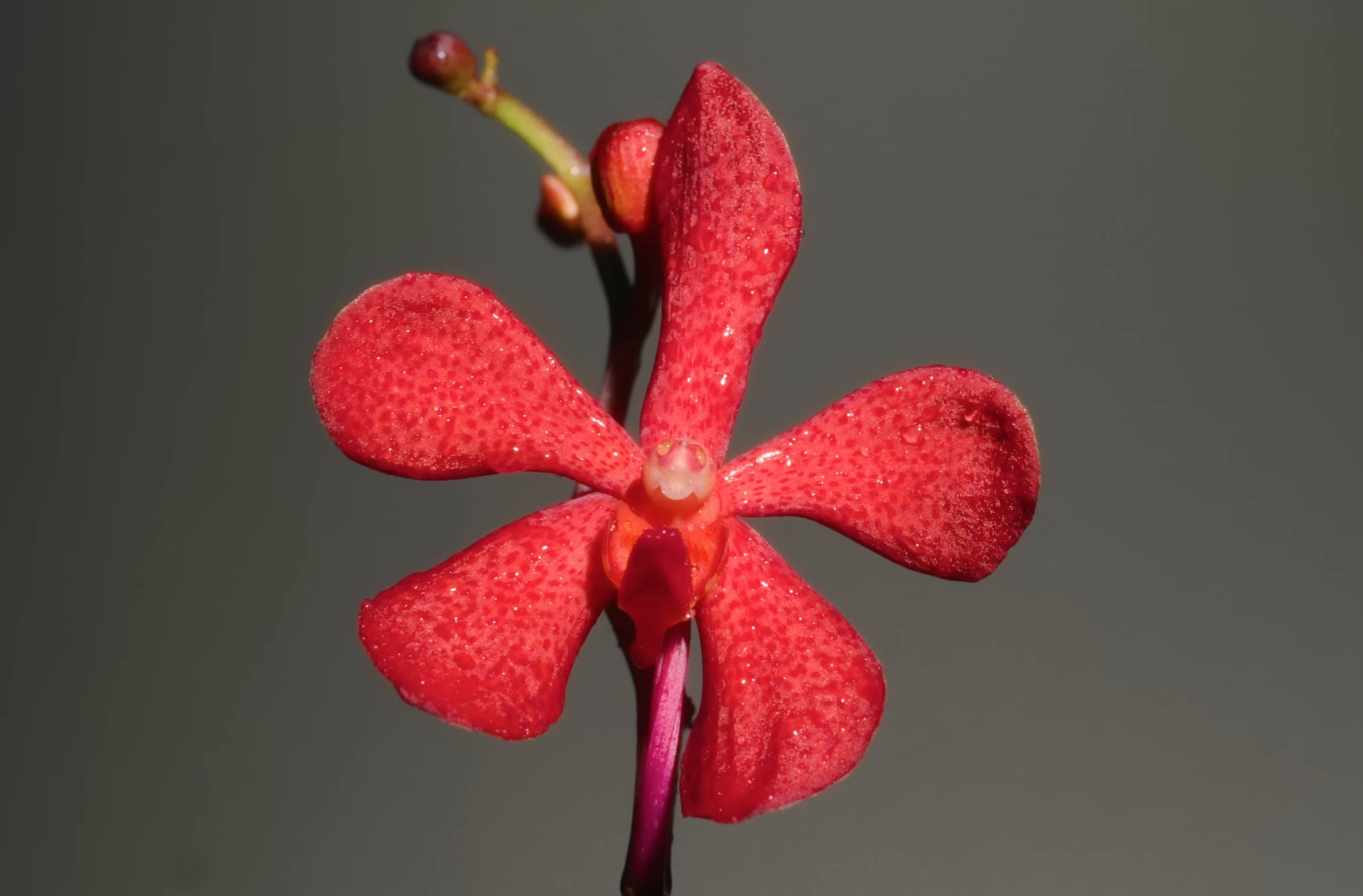 Nằm Bên Anh (2025) —  shot,  lighting