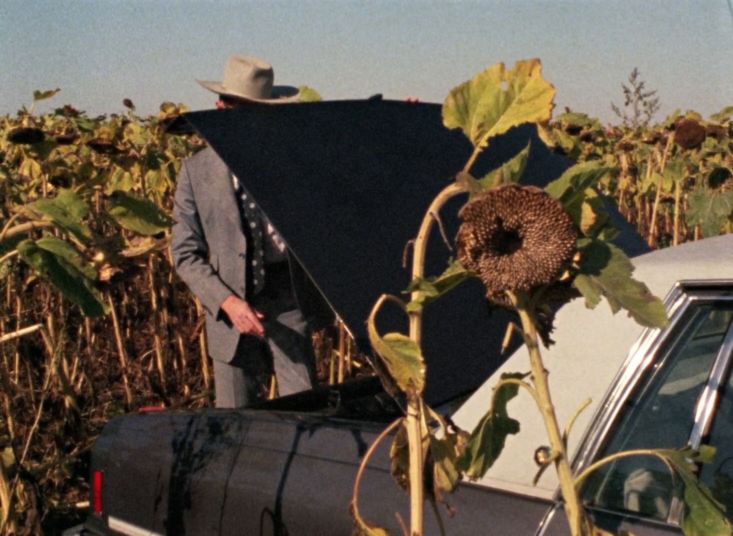 Crime Wave (1985) —  shot,  lighting