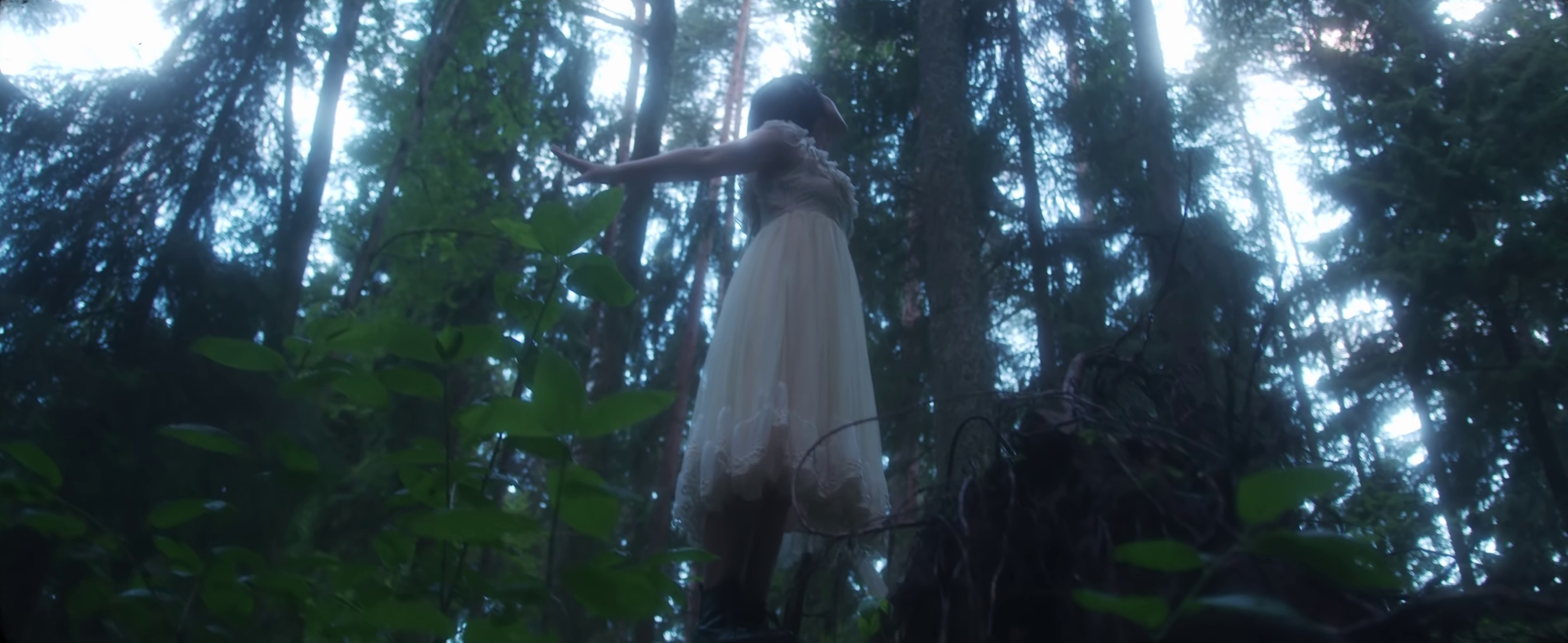 Comets (2020) —  shot,  lighting