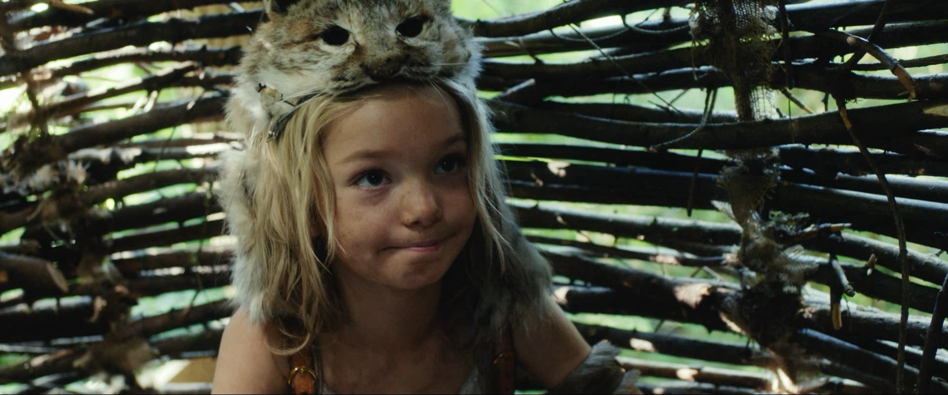 Captain Fantastic (2016) —  shot,  lighting