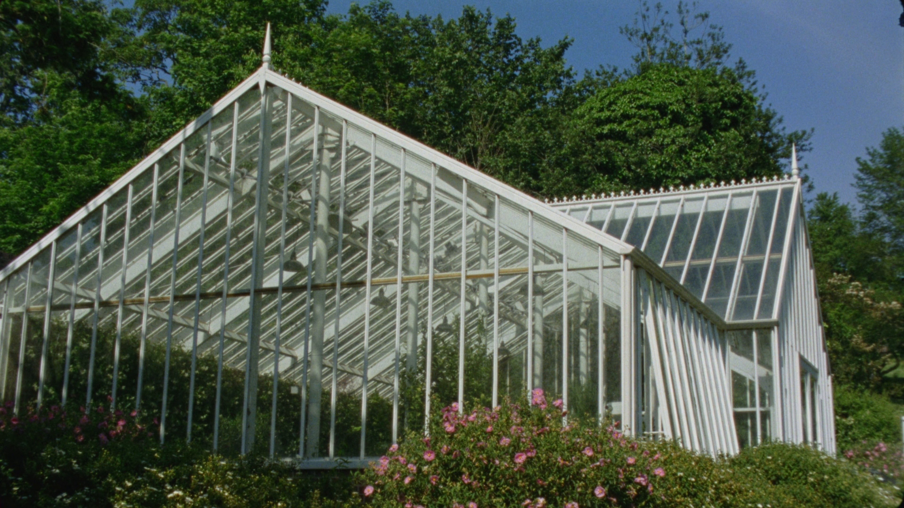 Florence Black SS24 Campaign (2024) —  shot,  lighting