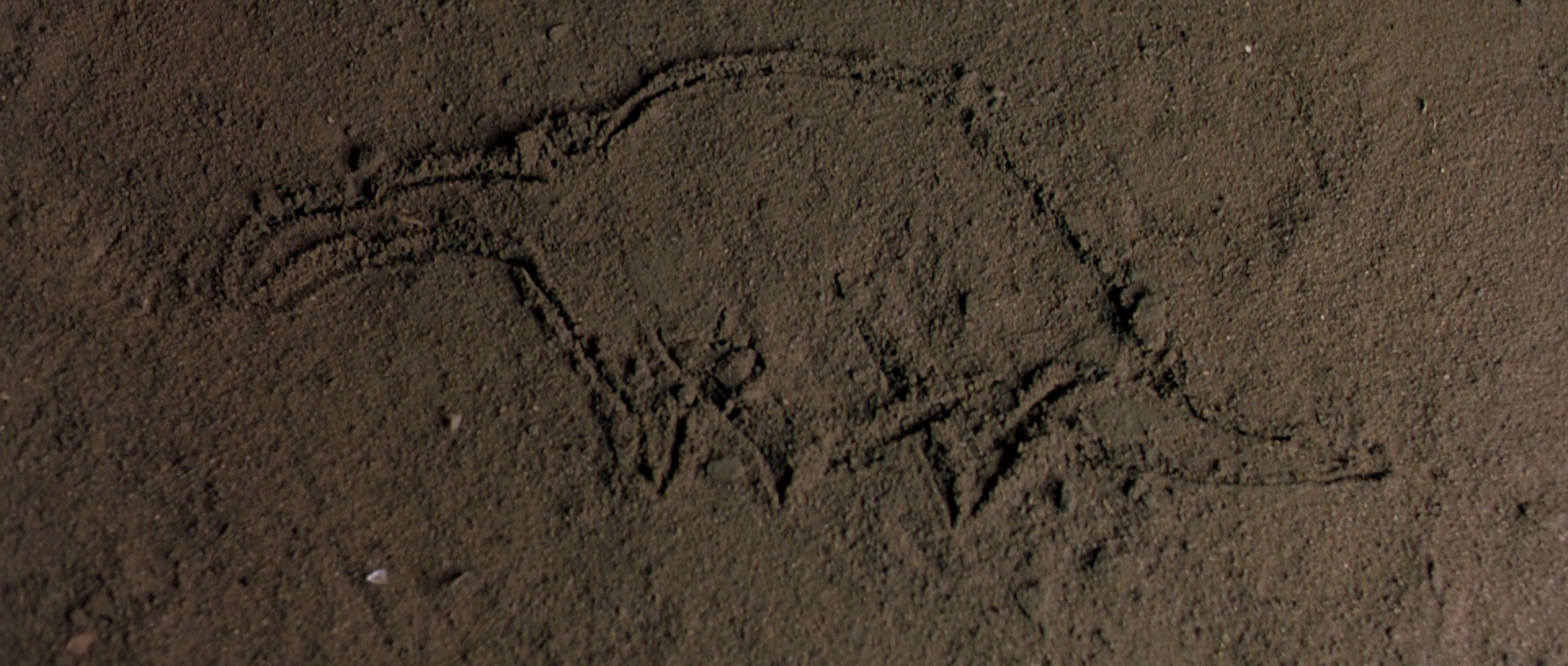 Baby: Secret of the Lost Legend (1985) —  shot,  lighting