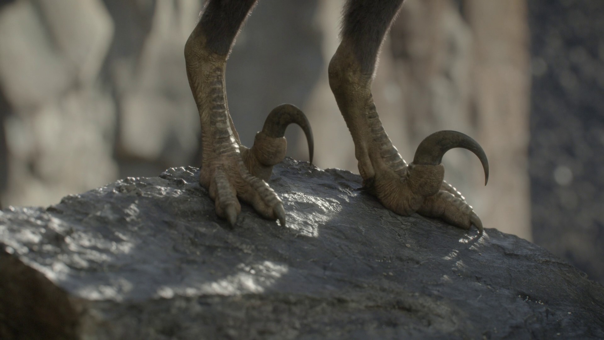 Badlands (2023) —  shot,  lighting