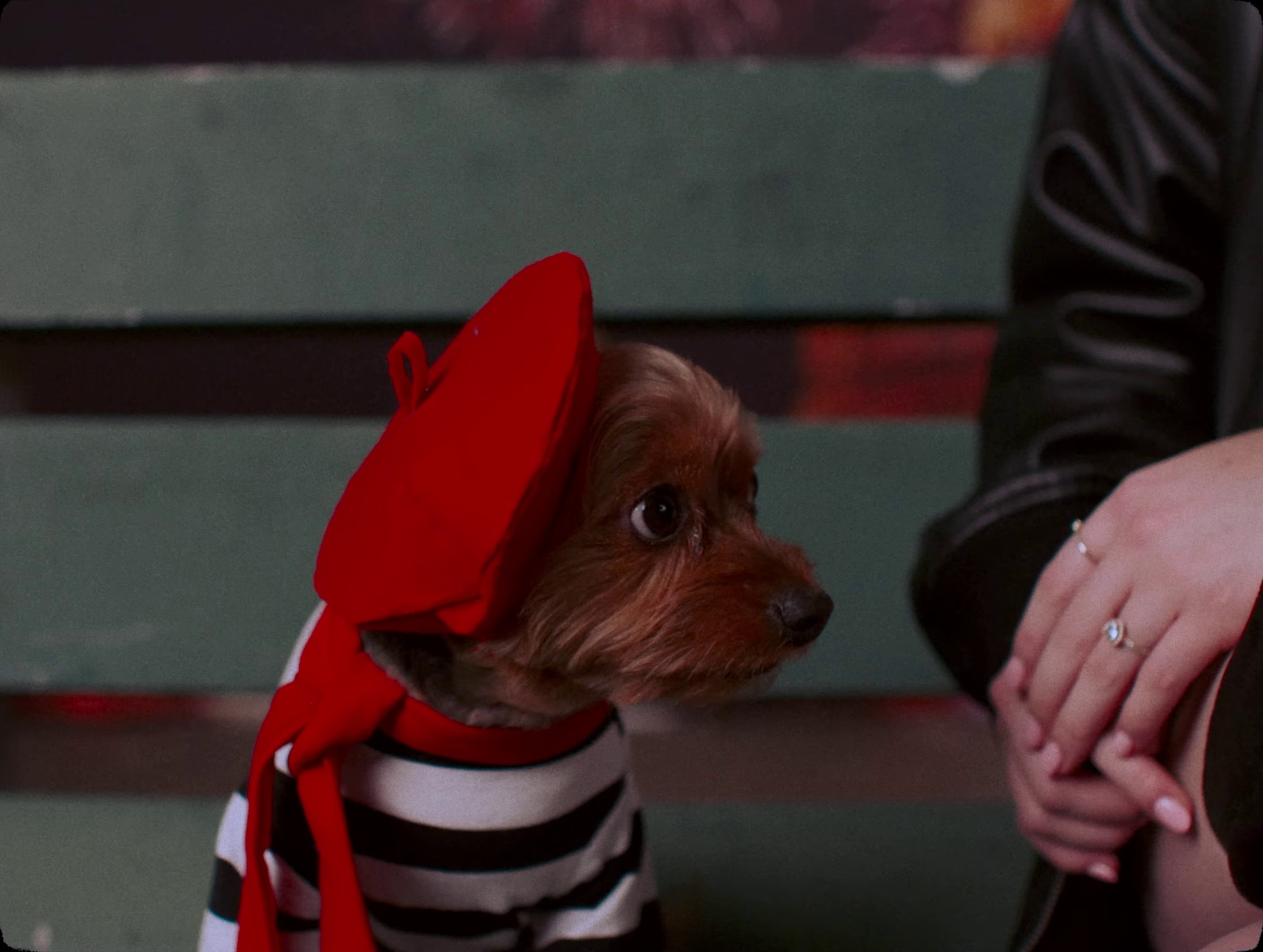 Gentleman (2024) —  shot,  lighting