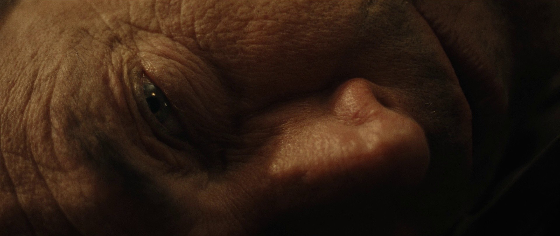 The Babysitter (2025) —  shot,  lighting