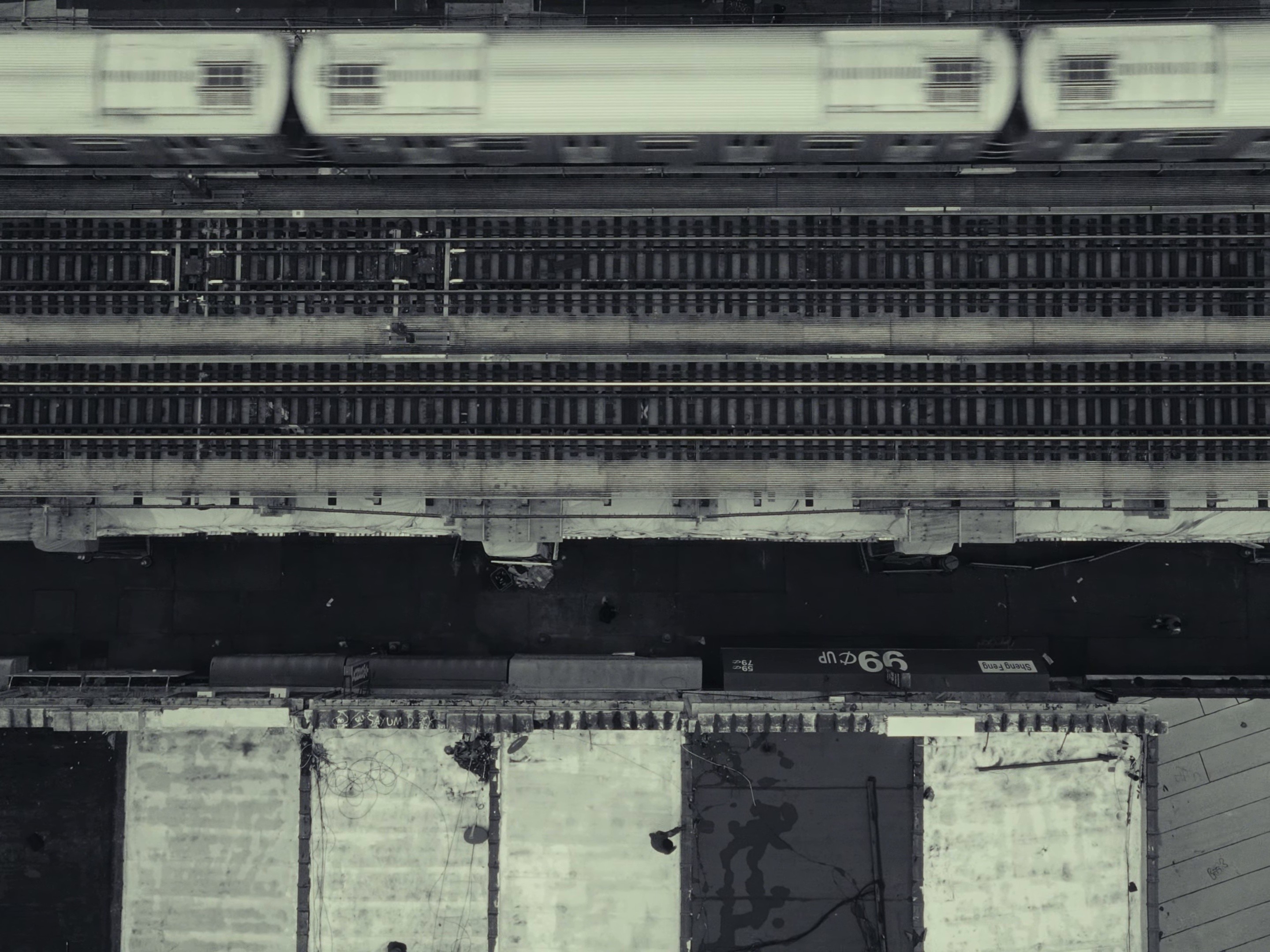 Red Roses (2024) —  shot,  lighting