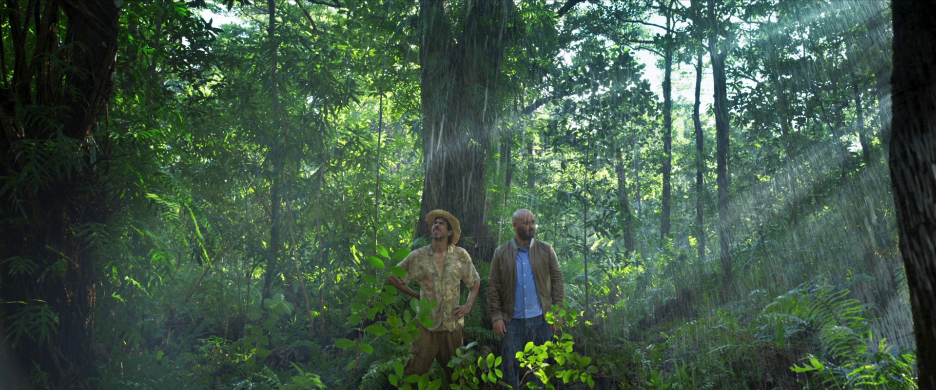 Irréductible (2022) —  shot,  lighting