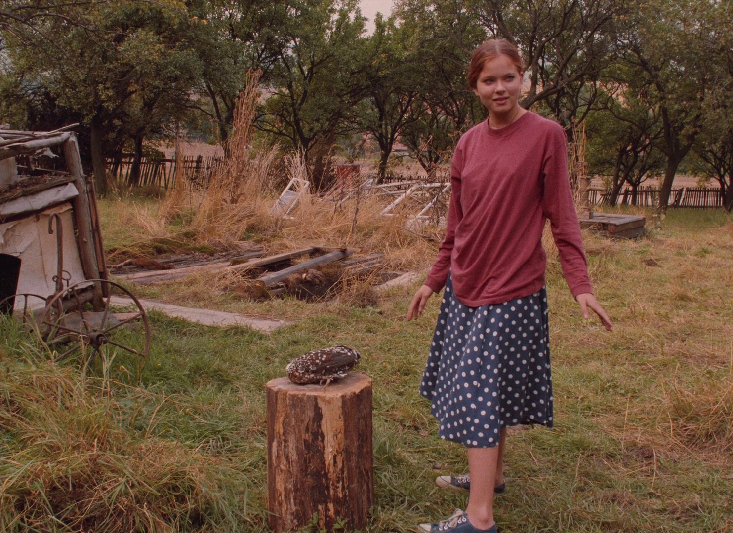 The Garden (1996) —  shot,  lighting