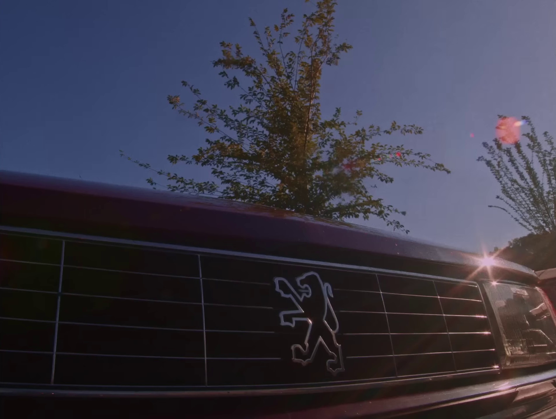 Three O Five (2023) —  shot,  lighting