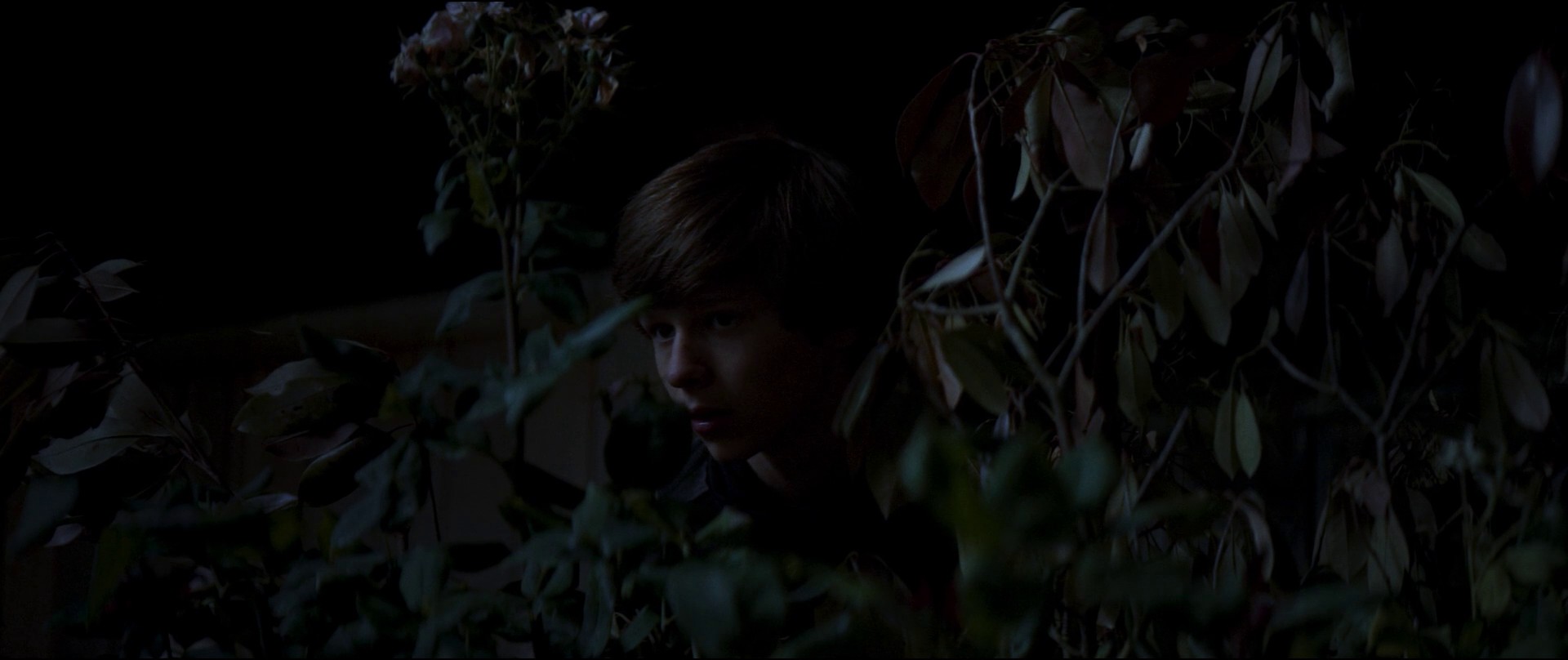 Summer of 84 (2018) —  shot,  lighting