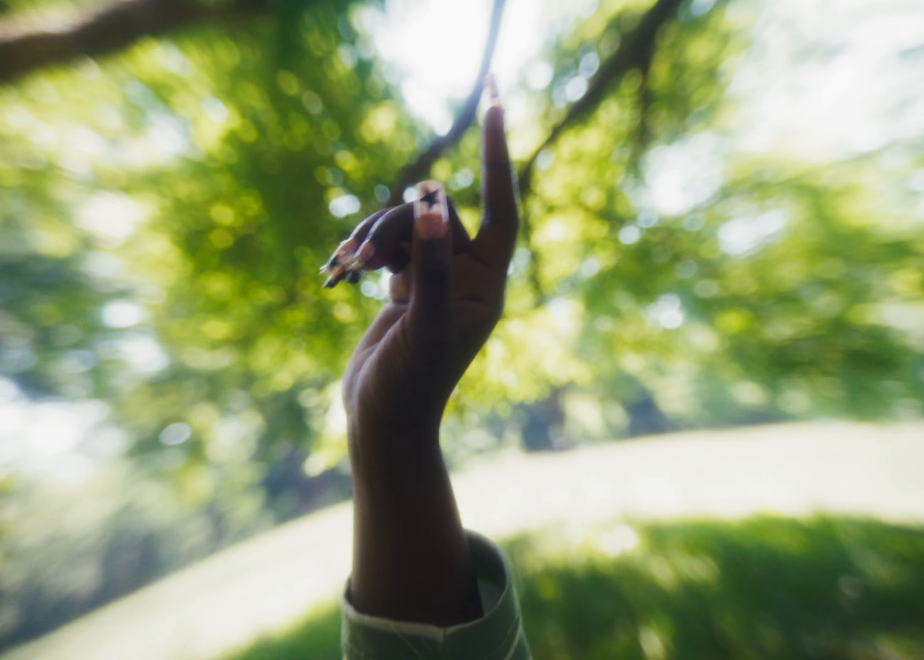 Levels (2024) —  shot,  lighting