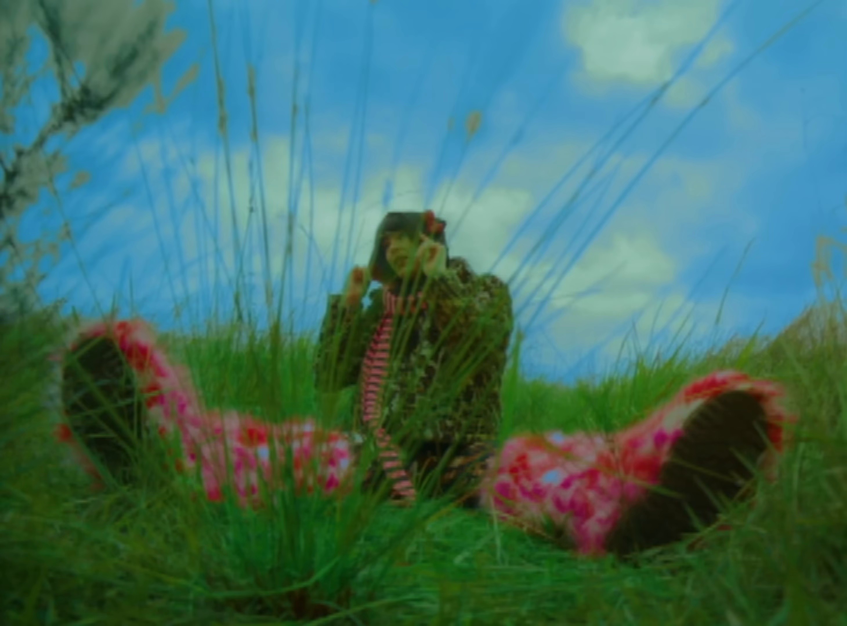 Animal (2024) —  shot,  lighting