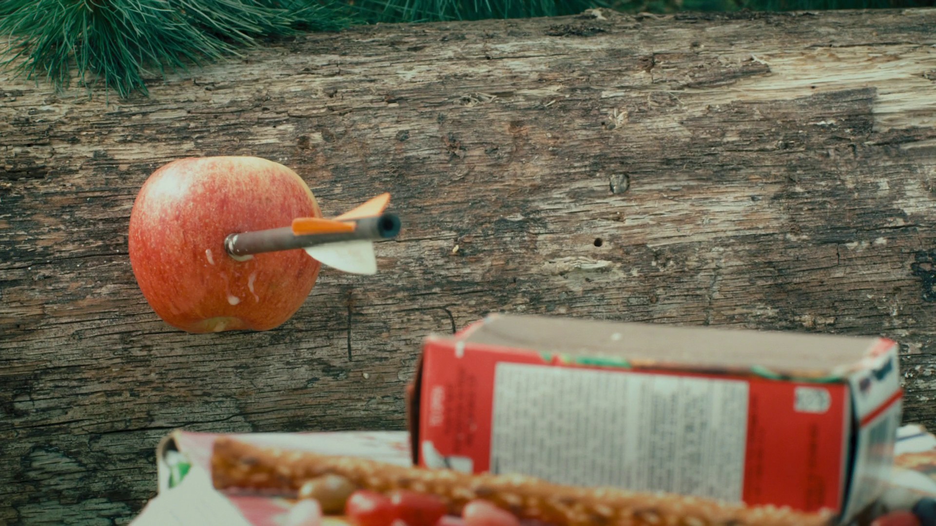 Furry Vengeance (2010) —  shot,  lighting