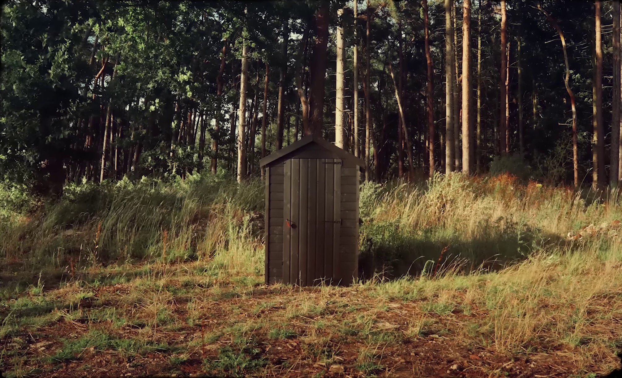 Man of the Hour (2023) —  shot,  lighting