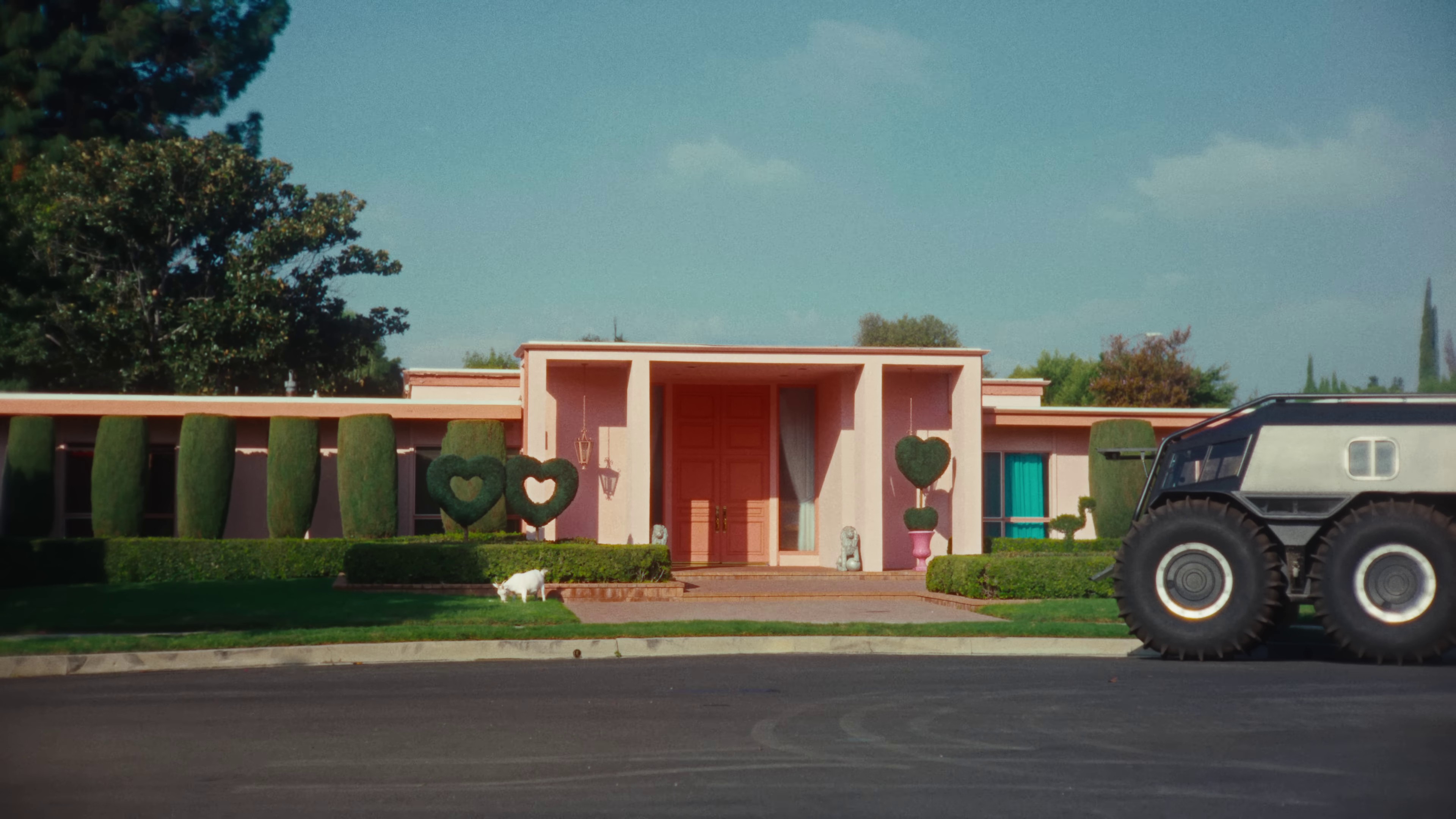 Simple  (2022) —  shot,  lighting