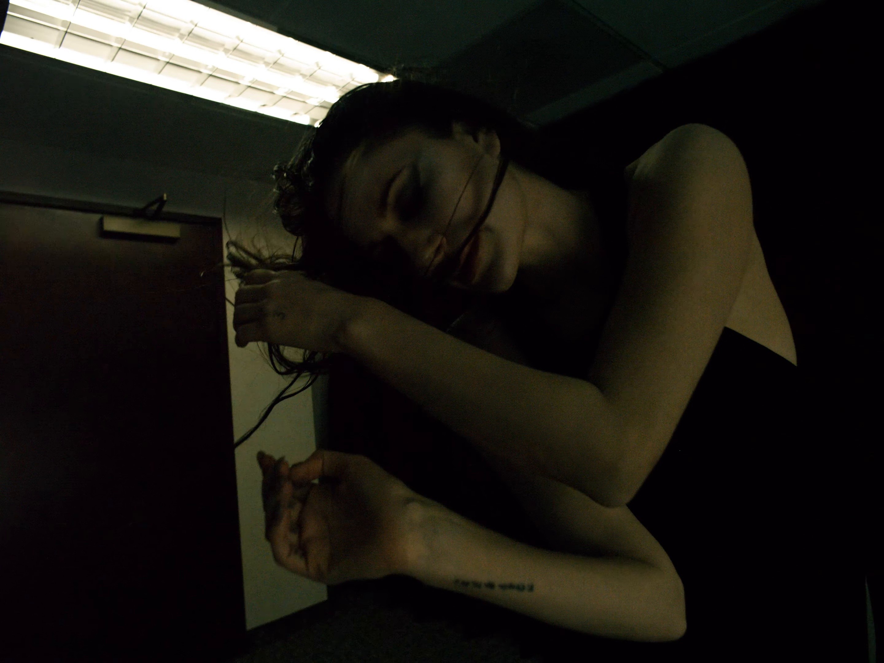 Piano and Great Danes (2025) —  shot,  lighting