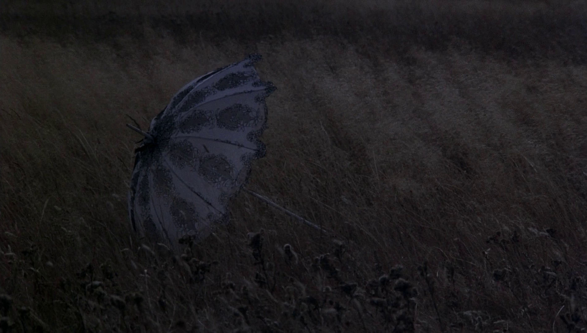 Days of Heaven (1978) —  shot,  lighting