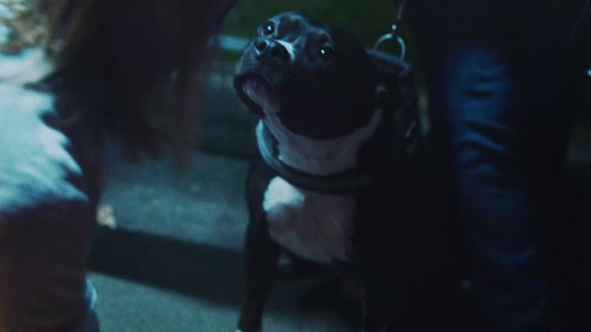 Fangs Out (2018) —  shot,  lighting