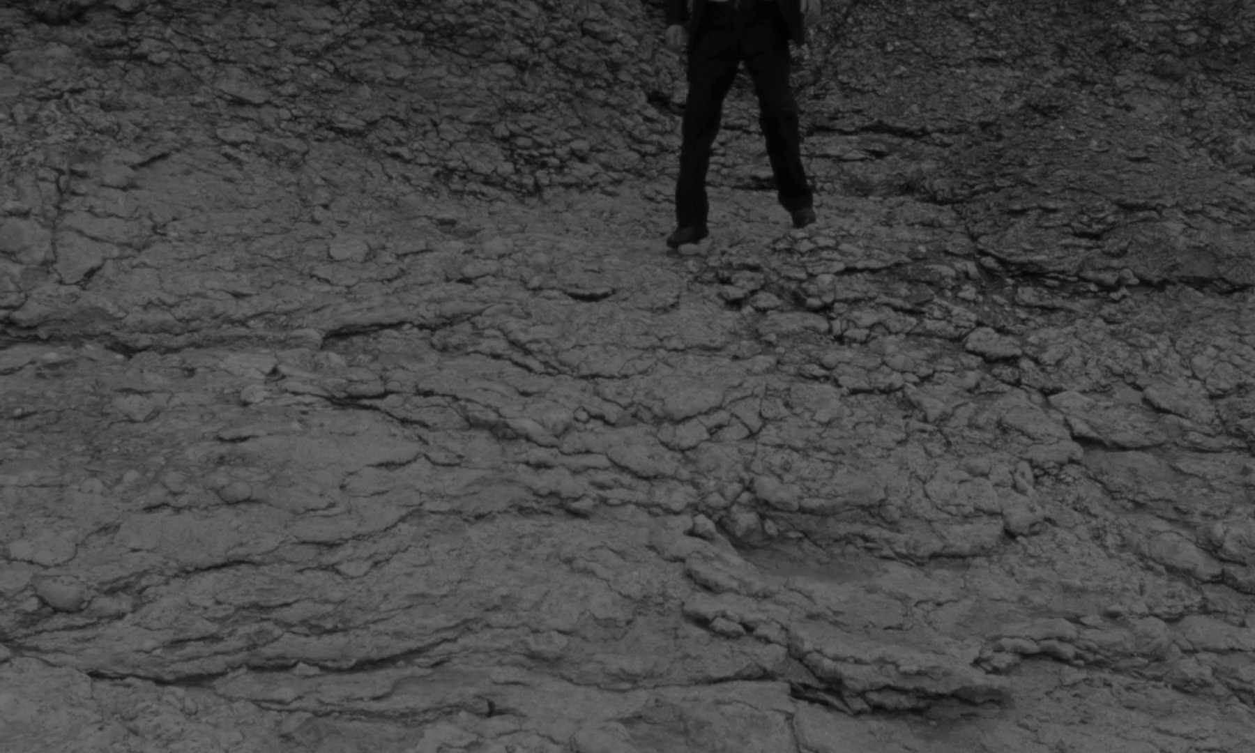 My Love For You (2024) —  shot,  lighting