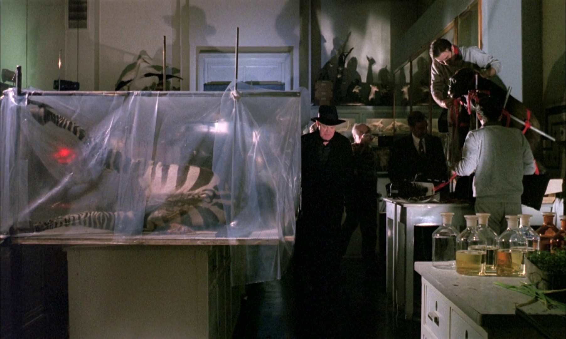 A Zed & Two Noughts (1985) —  shot,  lighting