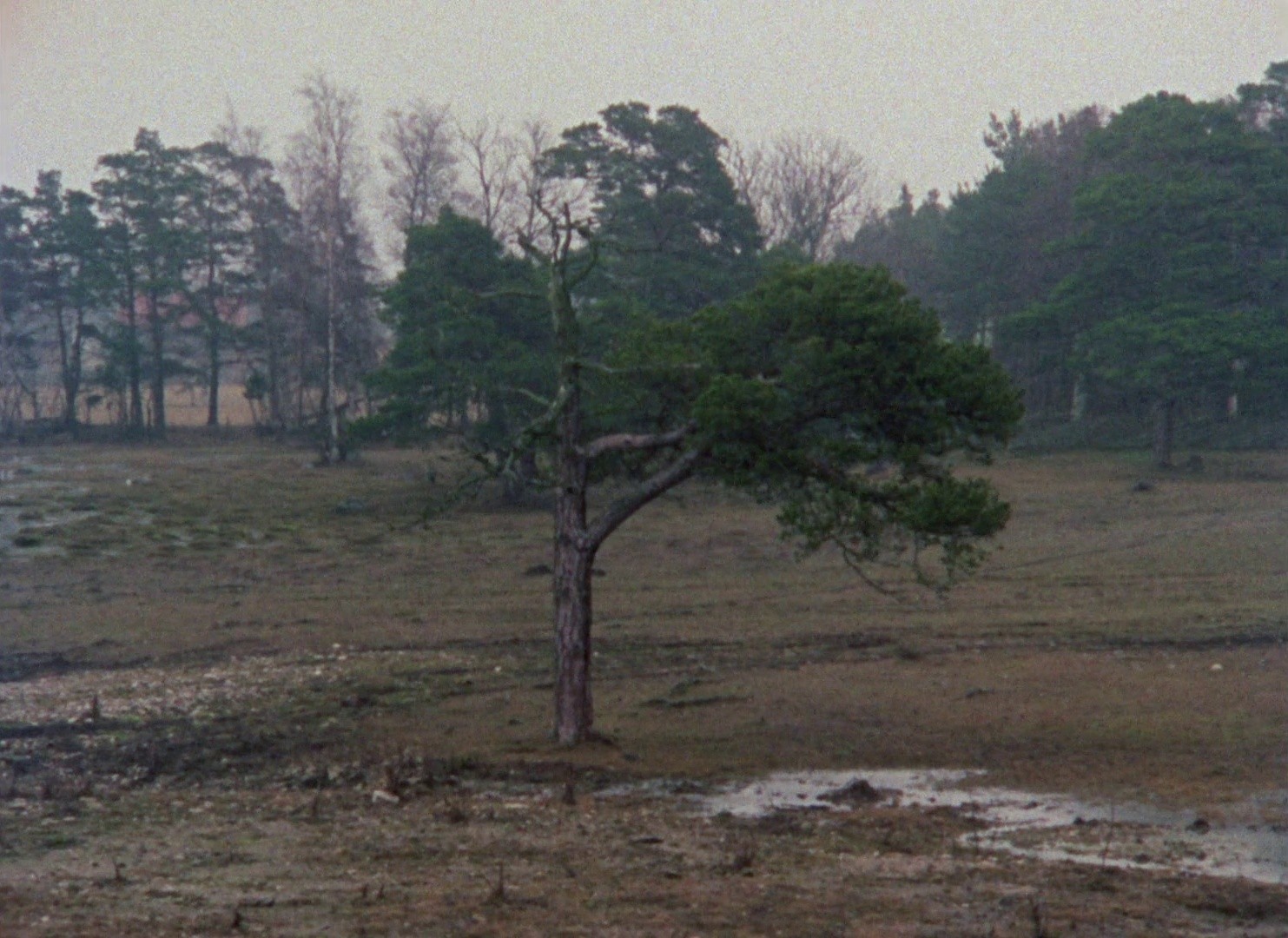 Faro Document 1979 (1979) —  shot,  lighting