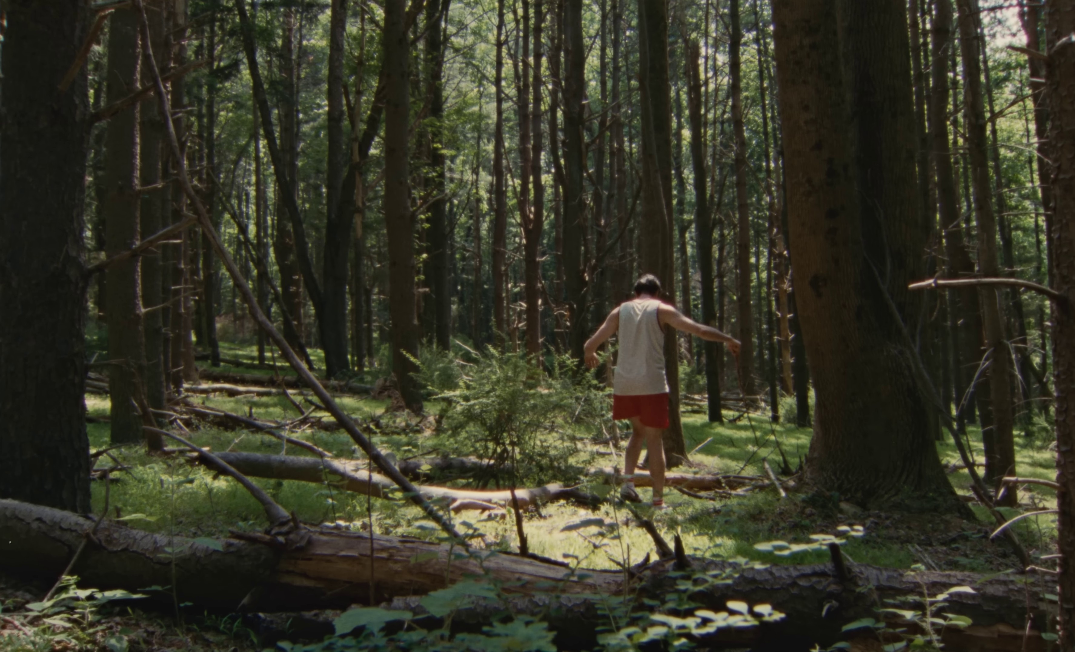 Time To Run  (2023) —  shot,  lighting