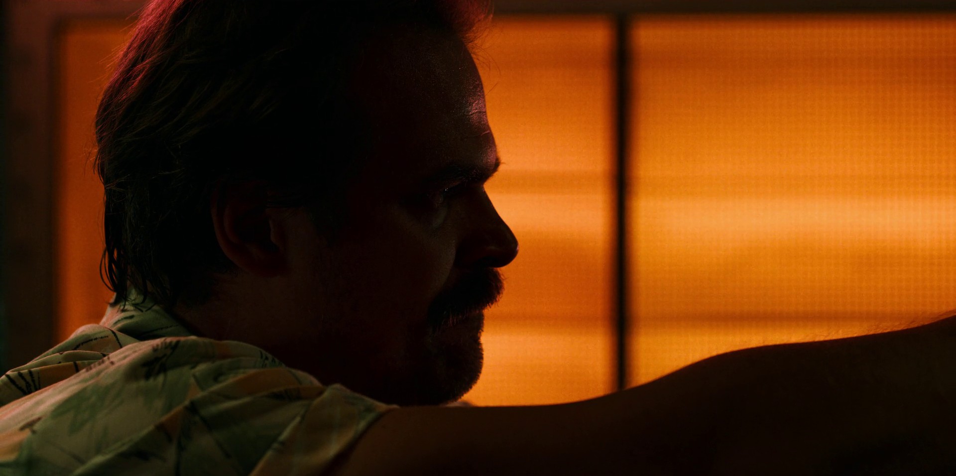 Chapter Five: The Flayed (2019) —  shot,  lighting