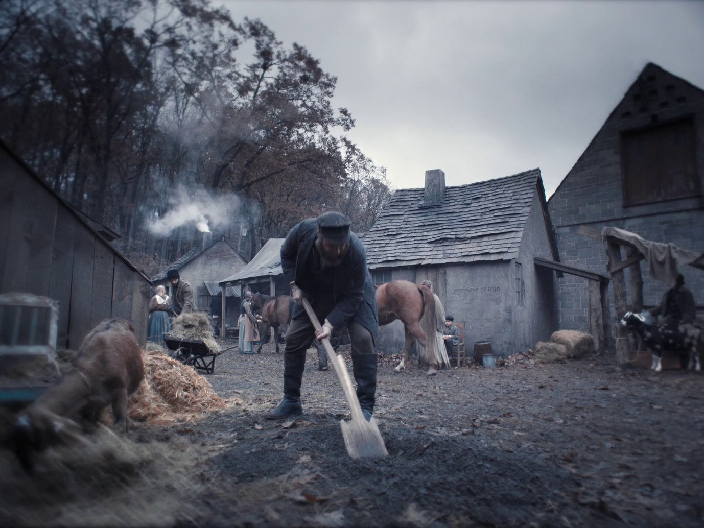 An American Pickle (2020) —  shot,  lighting