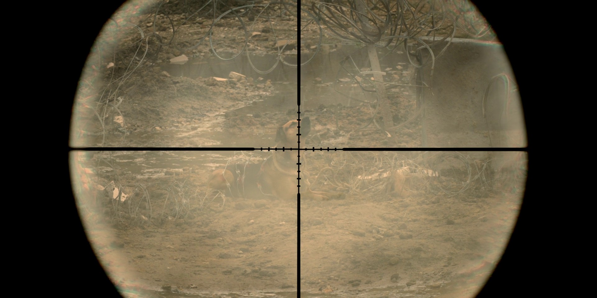 Fuck You and Eat Shit (2022) —  shot,  lighting