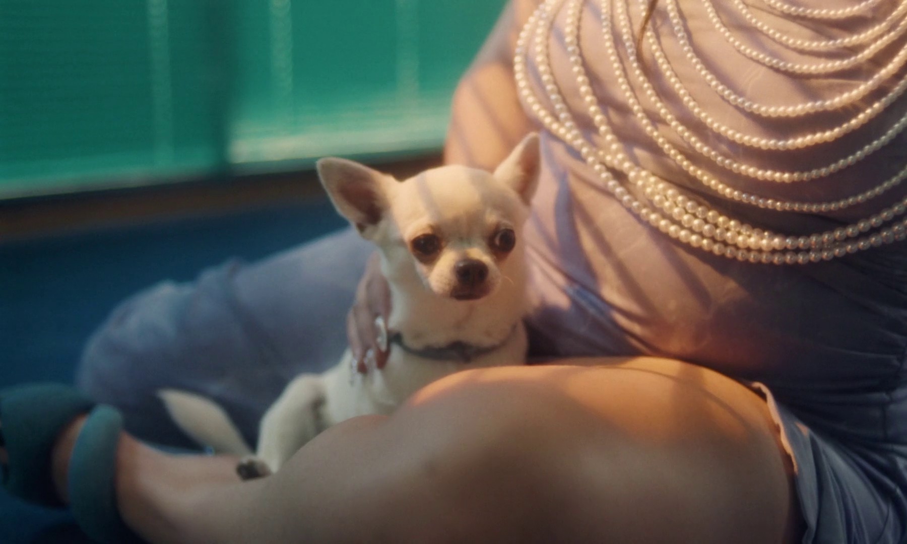 MUCHA DIVERSIÓN (2024) —  shot,  lighting