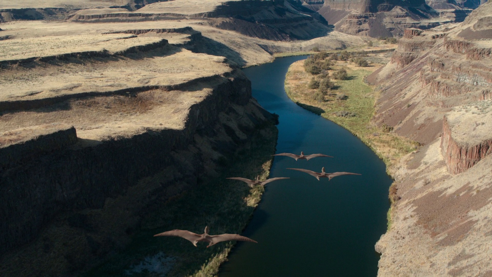 Freshwater (2022) —  shot,  lighting