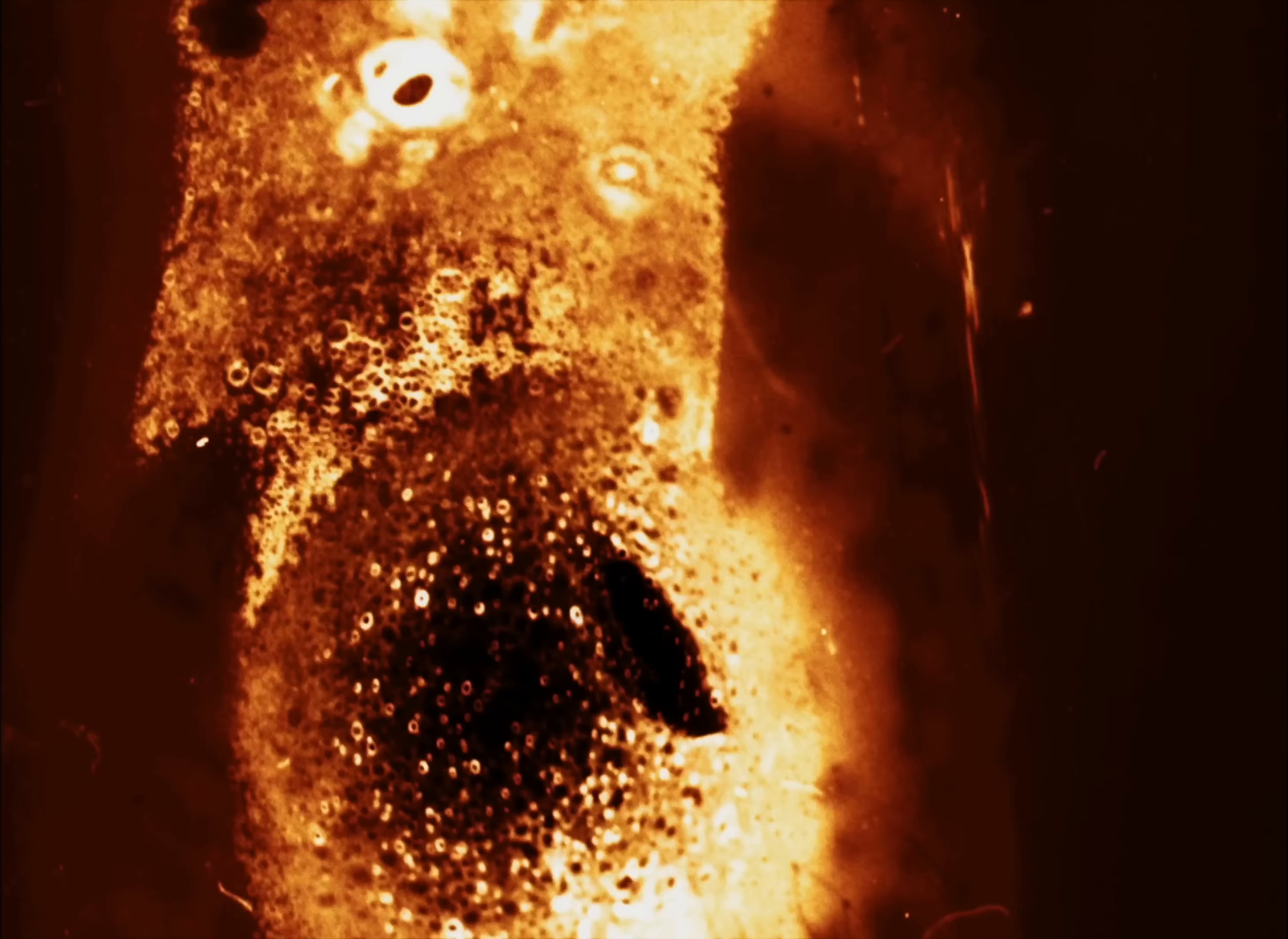 From Now It’s My Turn (2024) —  shot,  lighting