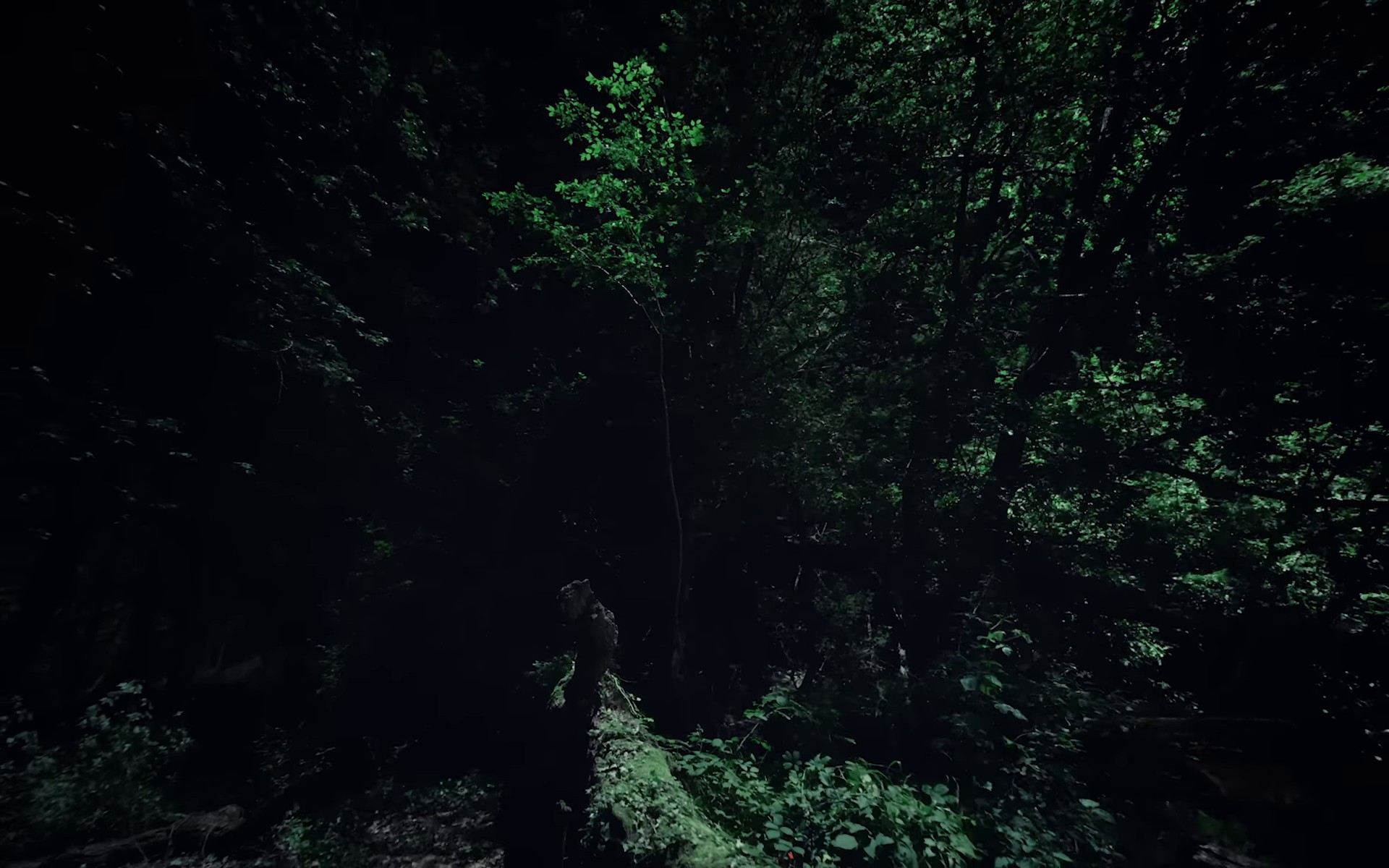 WHERE'S THE LIGHT ? (2023) —  shot,  lighting