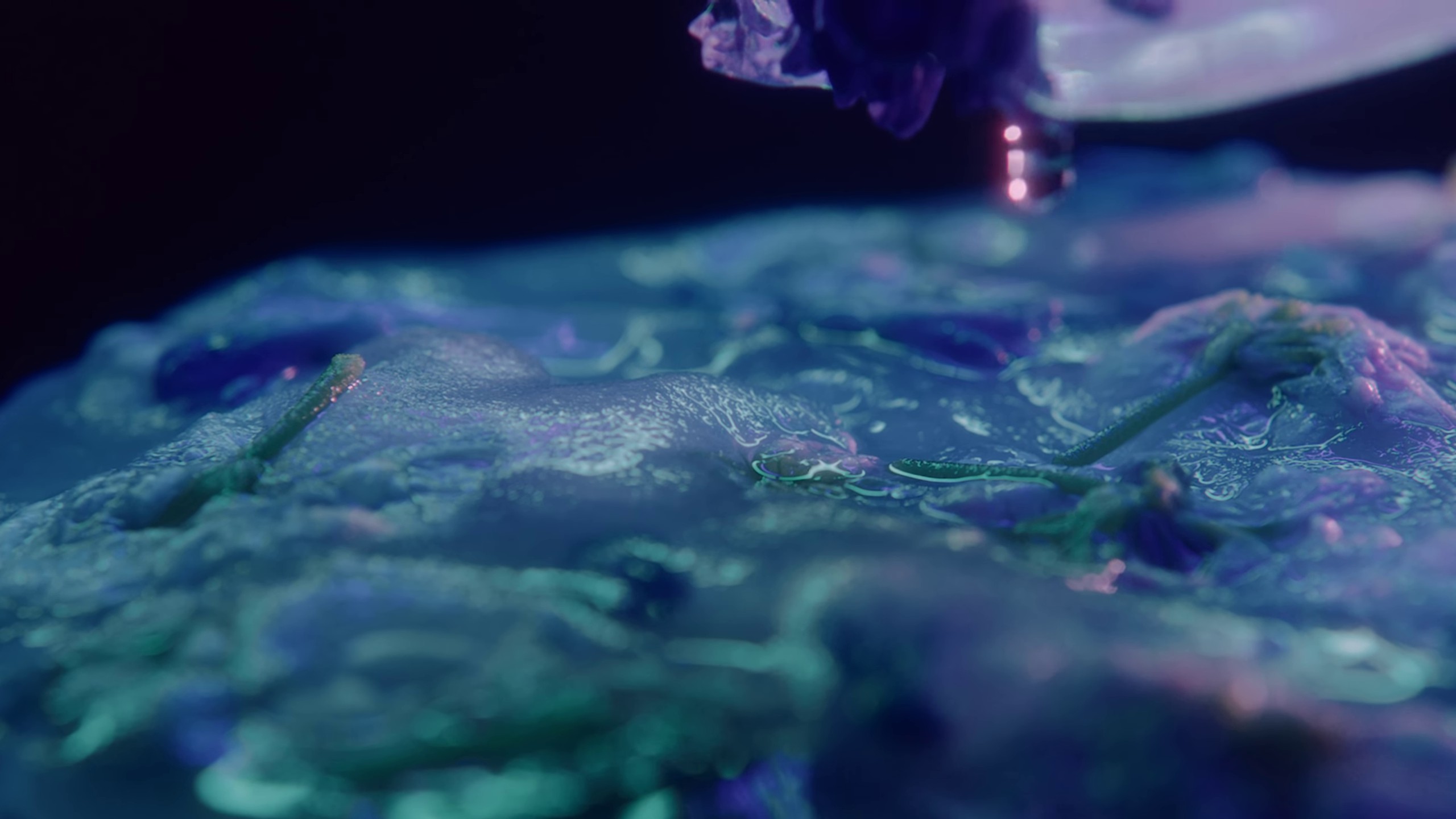 Firefly (2022) —  shot,  lighting