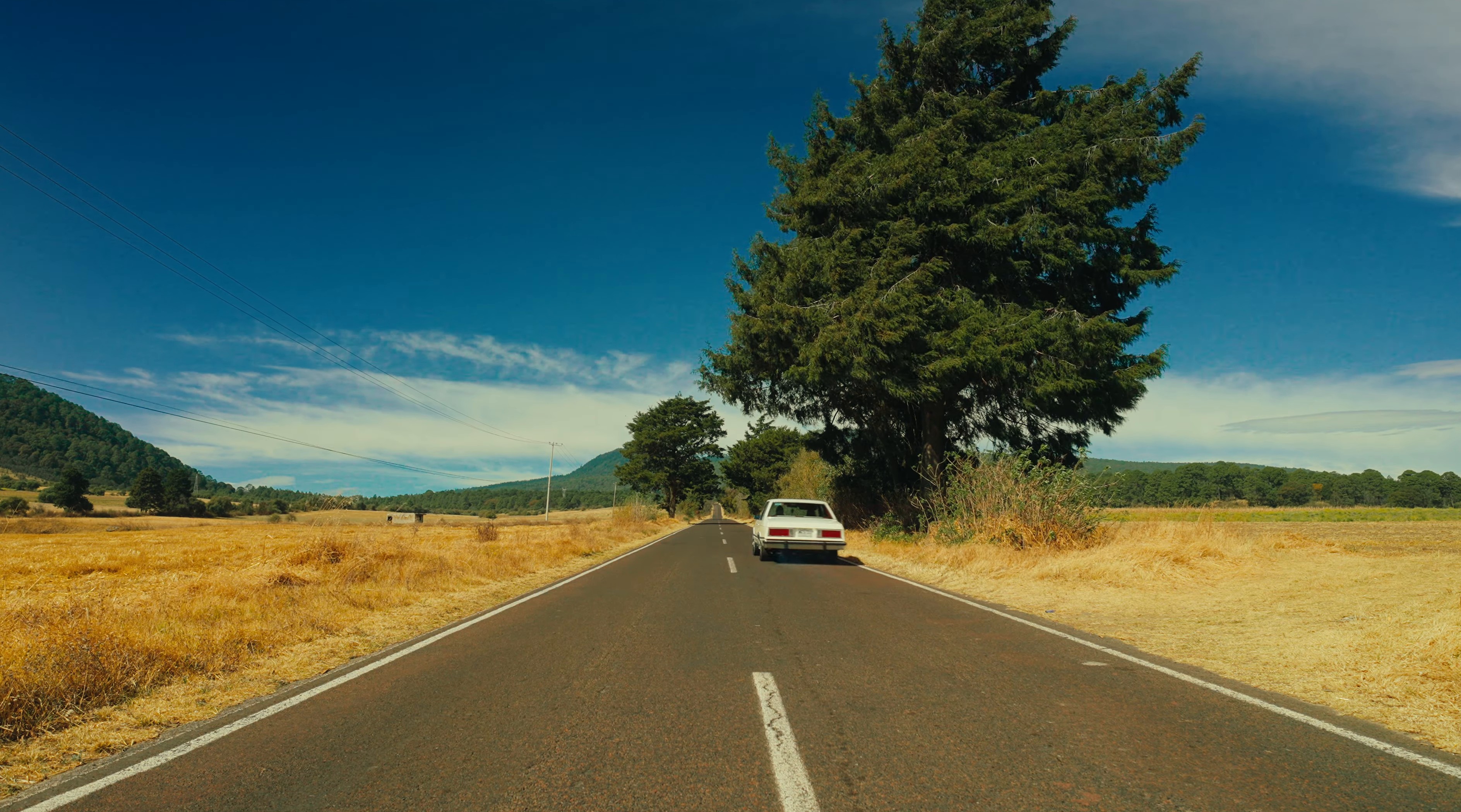 Complicado (2024) —  shot,  lighting