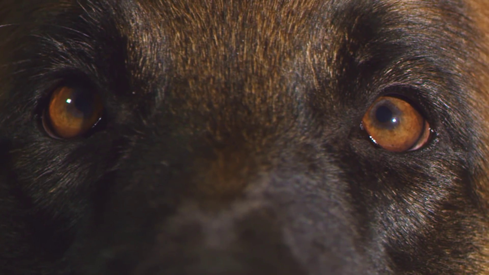 Our Eyes (2015) —  shot,  lighting