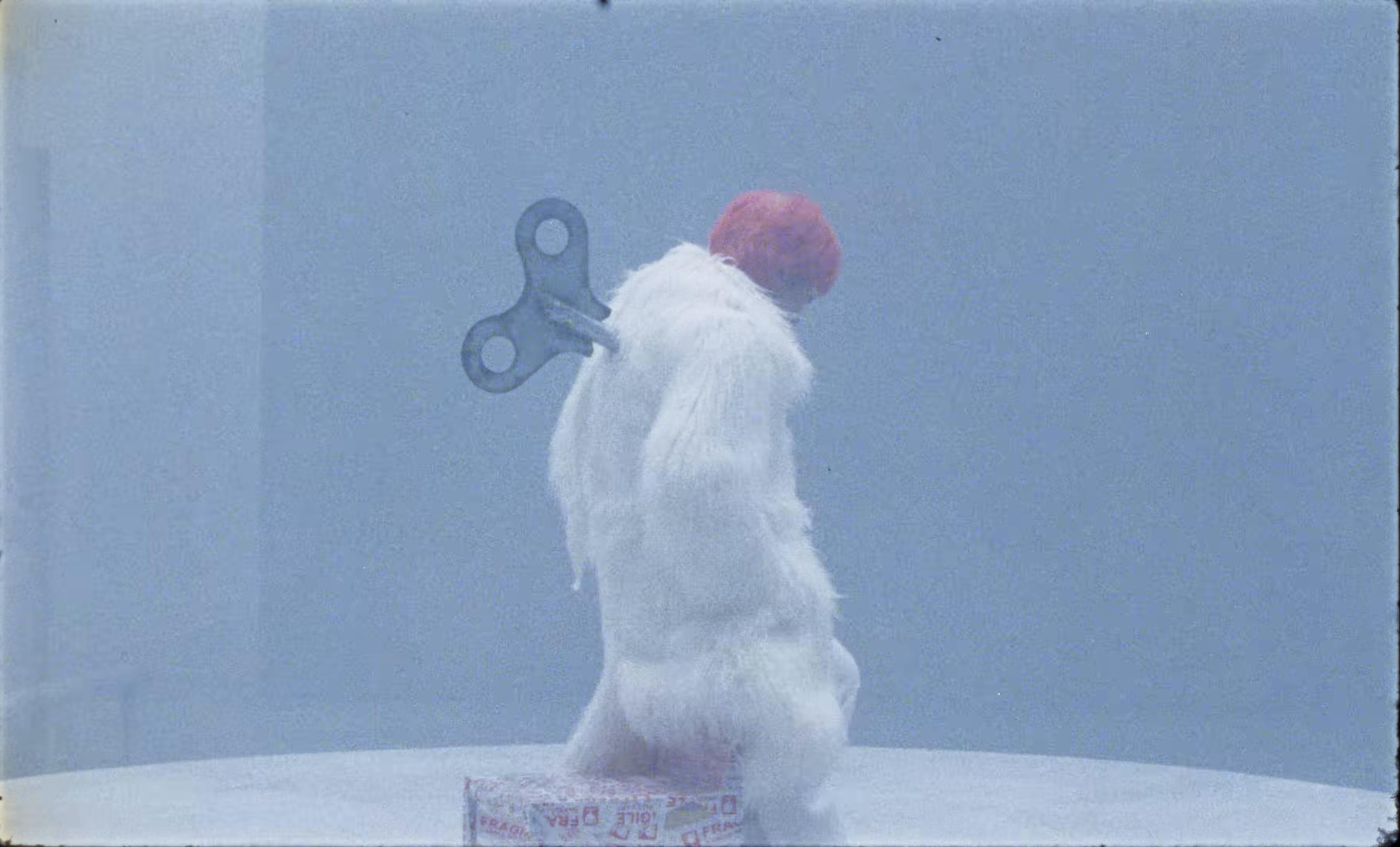 DRAMA (2025) —  shot,  lighting