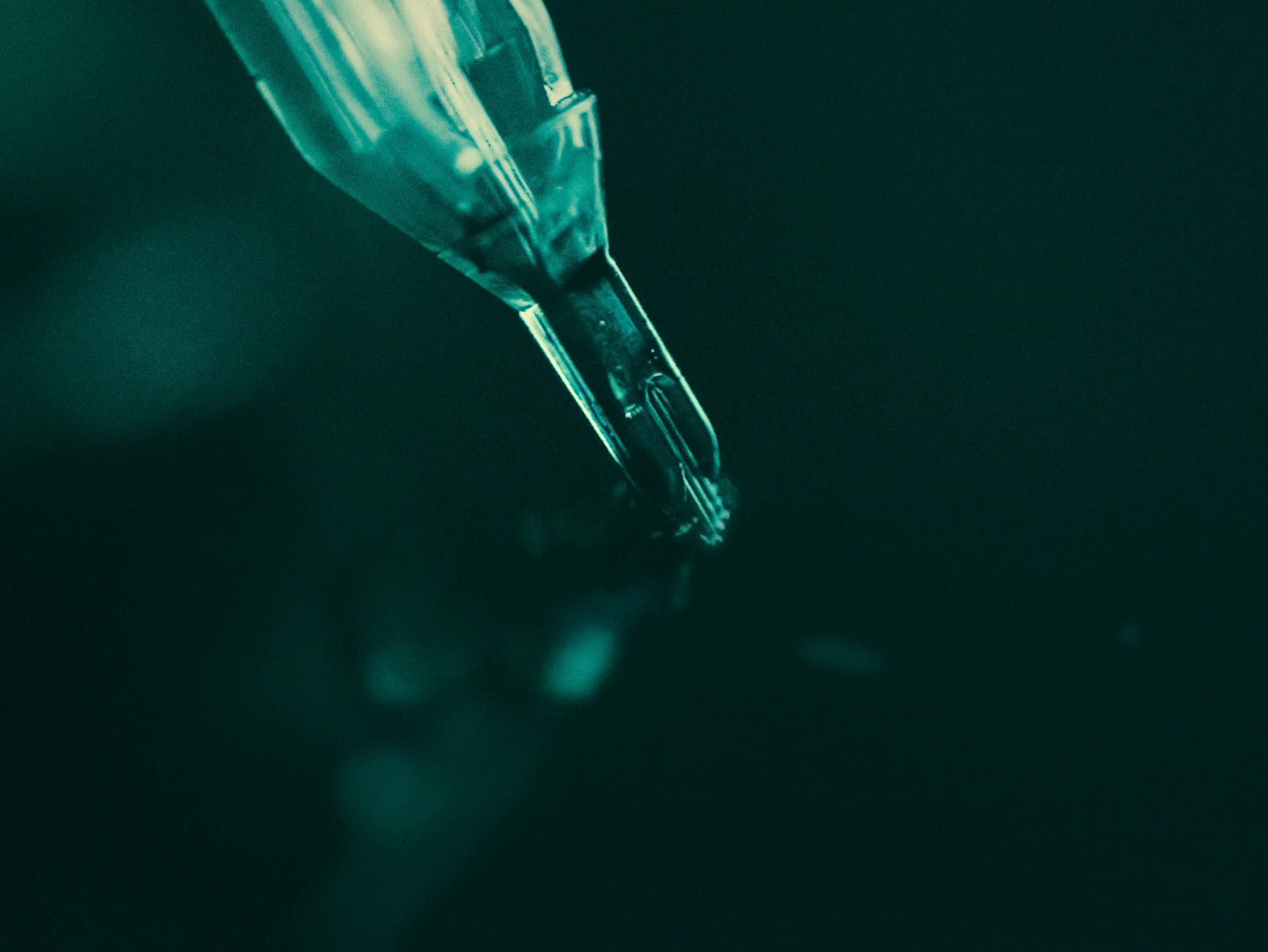 CRONACHE DI UN FIORE (2025) —  shot,  lighting