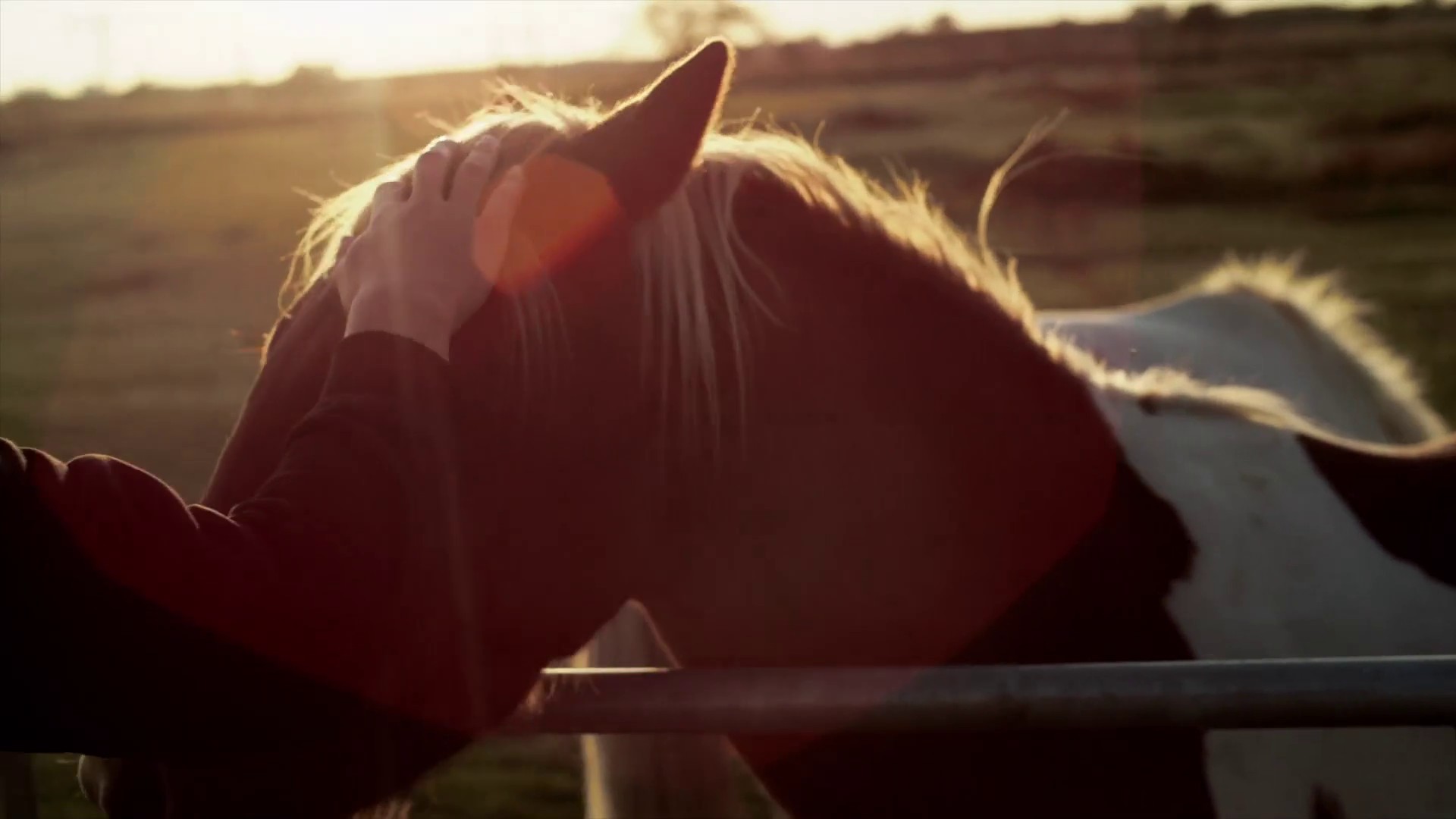 Lesson No. 7 (2011) —  shot,  lighting