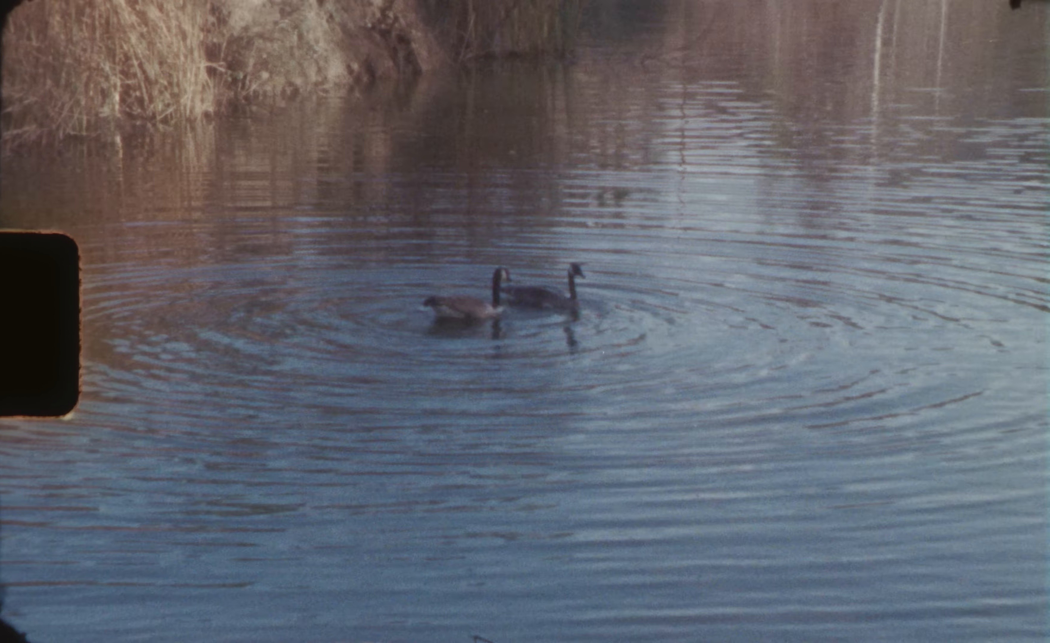 Before It's Too Late (2025) —  shot,  lighting