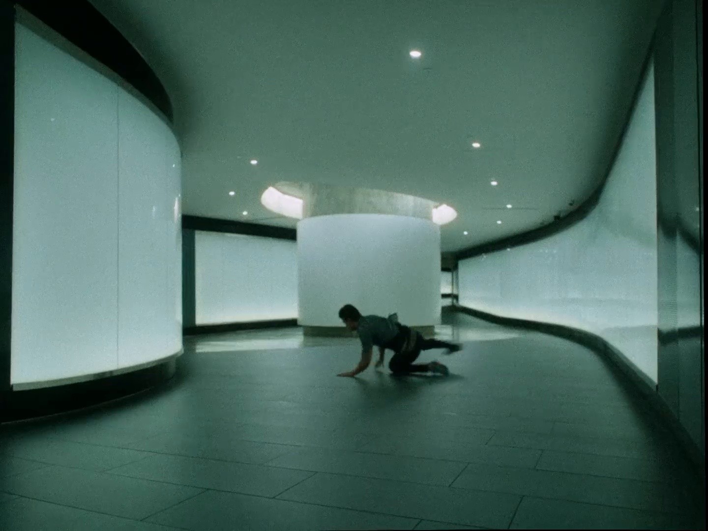 Portés par le monde | Université de Montréal (DC) (2024) —  shot,  lighting