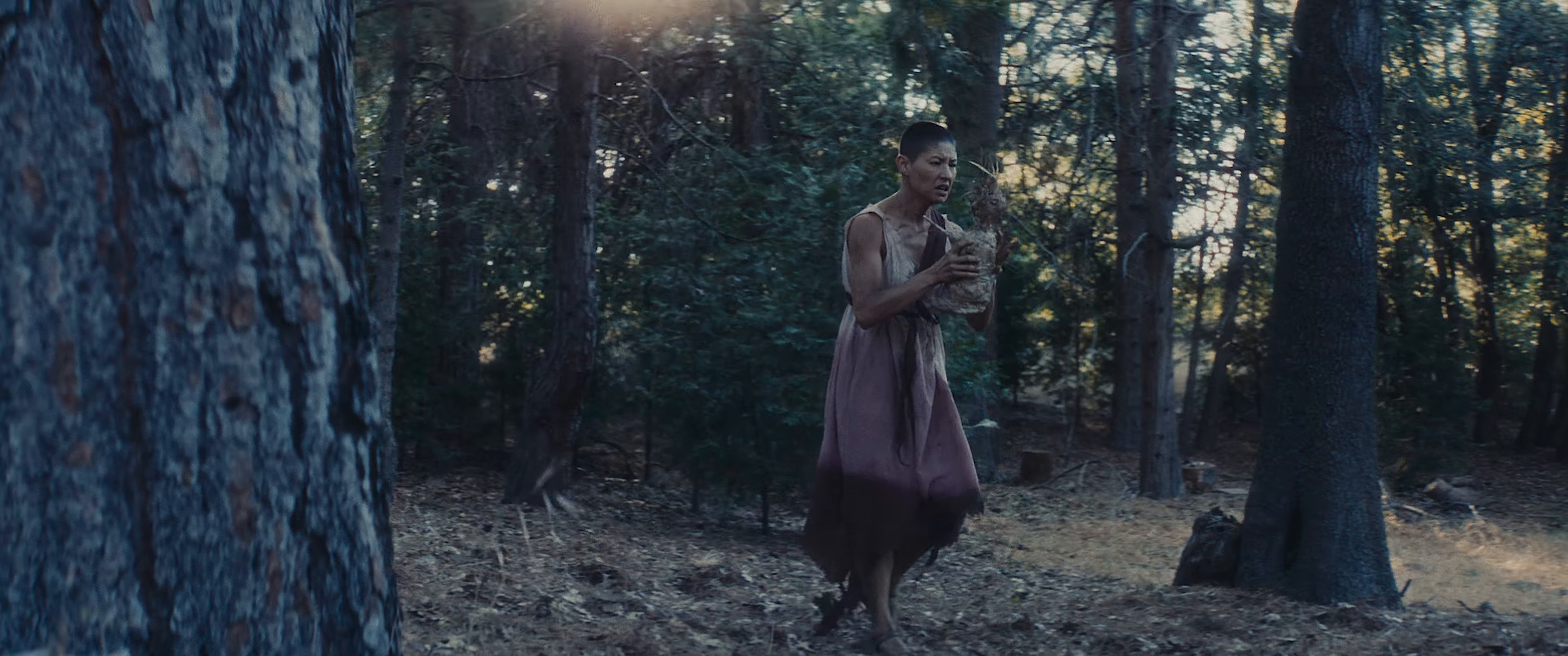 Hole  (2025) —  shot,  lighting