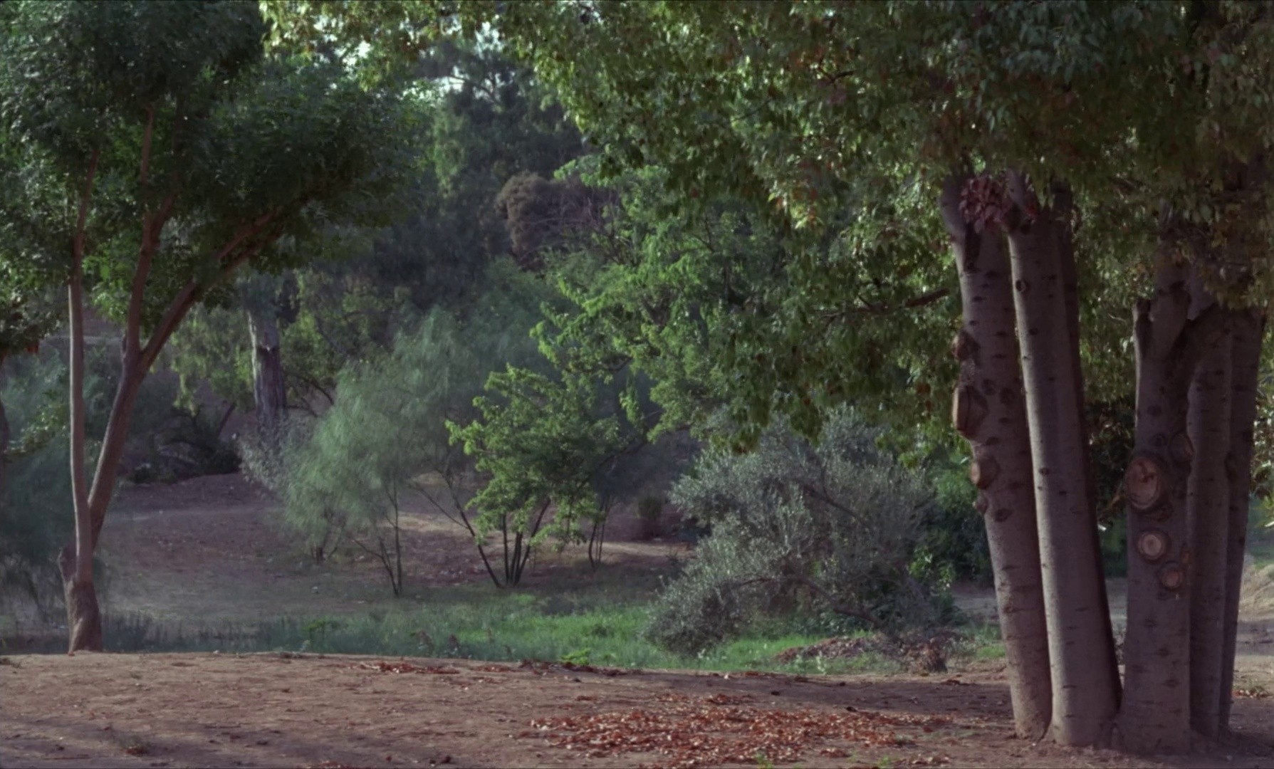 Le clair de terre (1970) —  shot,  lighting