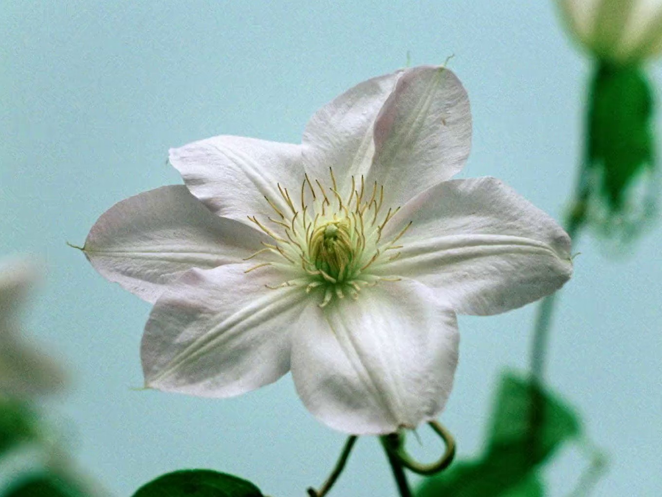 Children Alt (2024) —  shot,  lighting