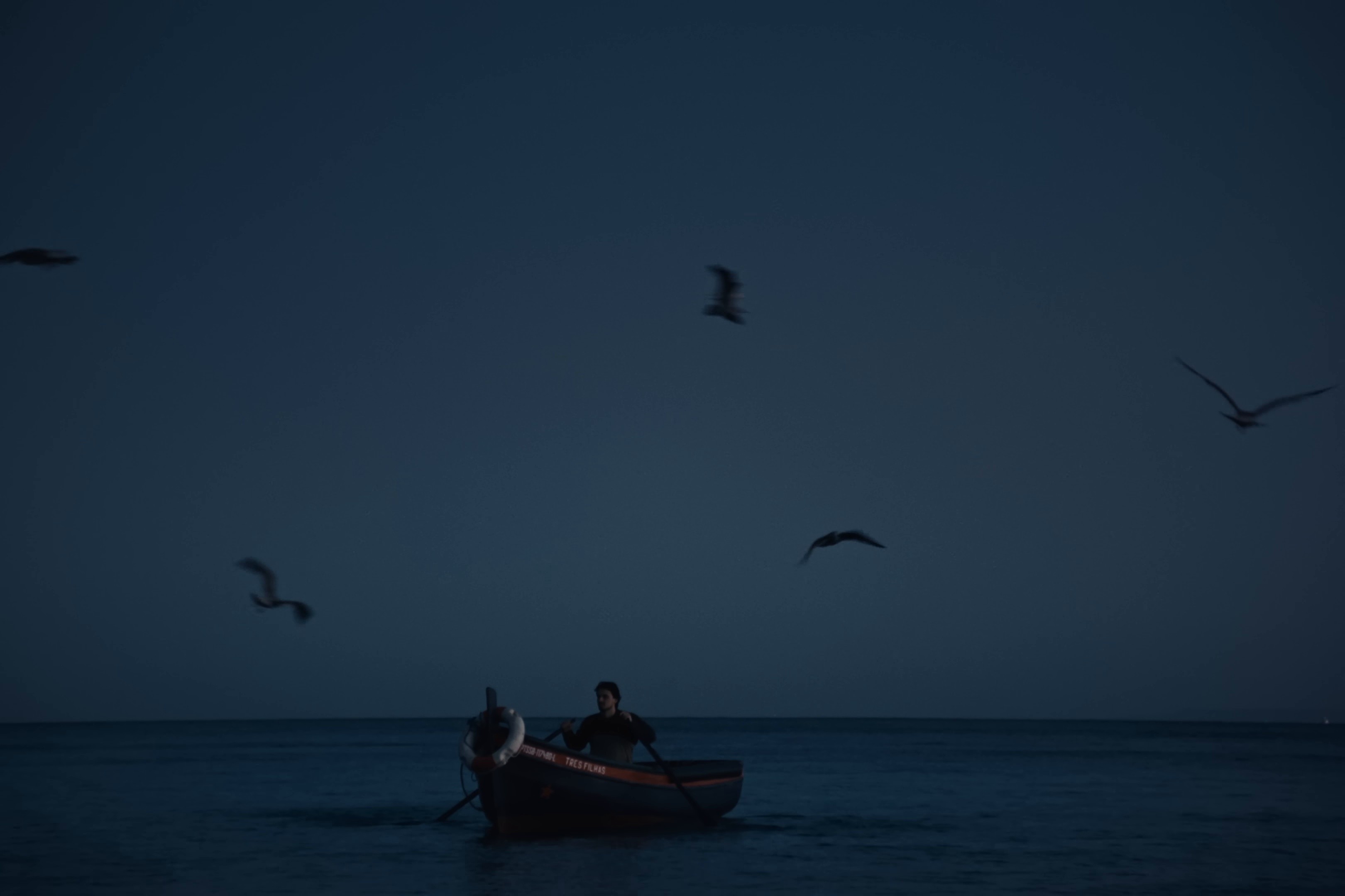 ADAMASTOR (2025) —  shot,  lighting