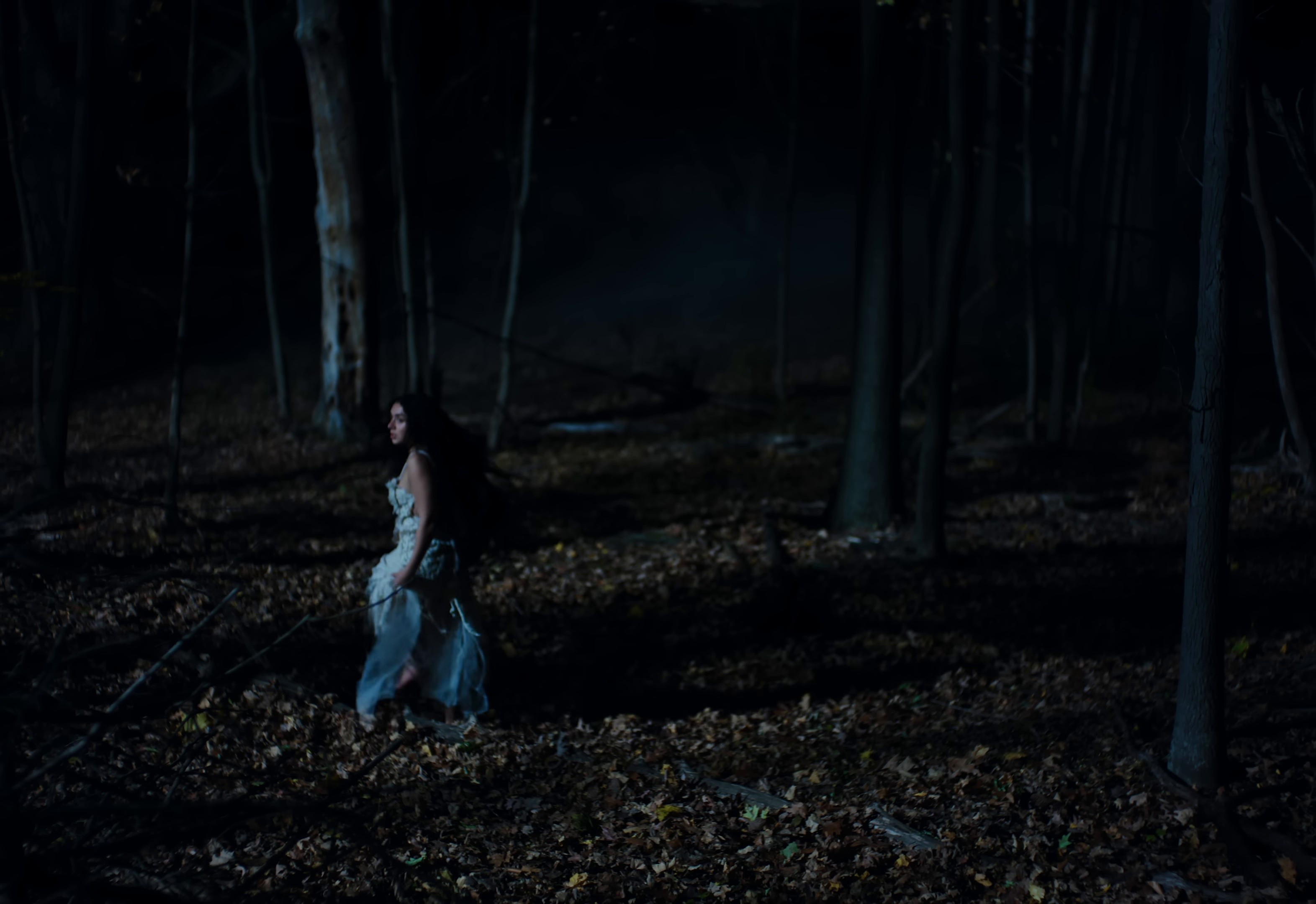 House (2025) —  shot,  lighting