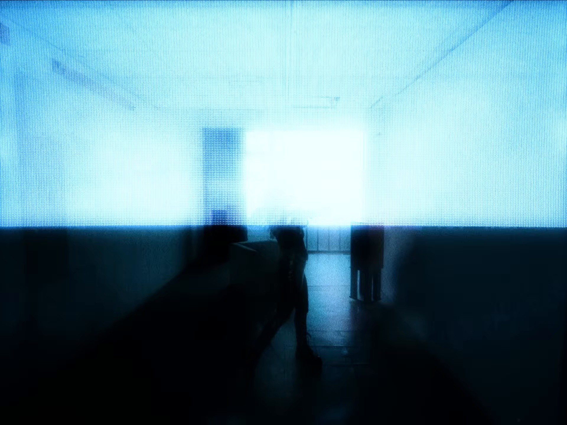 To be free (2024) —  shot,  lighting