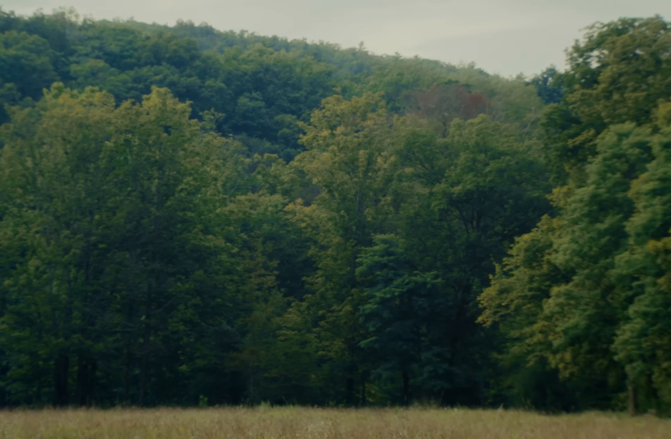 Attack + Release (2025) —  shot,  lighting